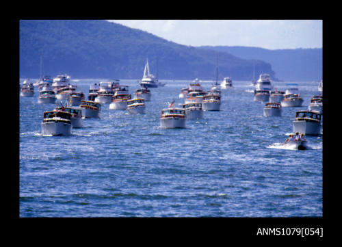 Image depicting a group of Halvorsen vessels at Sydney Harbour