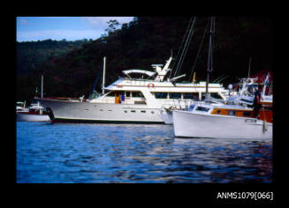 Image depicting Halvorsen vessels at the Halvorsen Boatshed at Bobbin Head