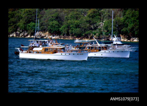 Image depicting two Halvorsen vessels at the Halvorsen Boatshed at Bobbin Head