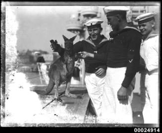 Three German sailors with a wallaby on board the German cruiser KOLN