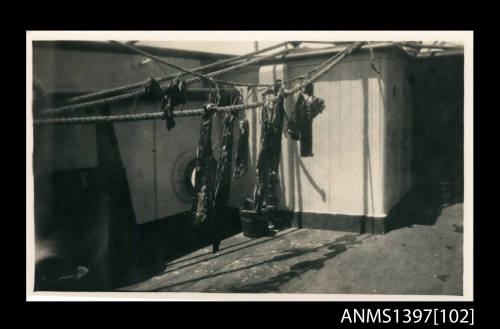 Photograph depicting ropes on a ship's deck