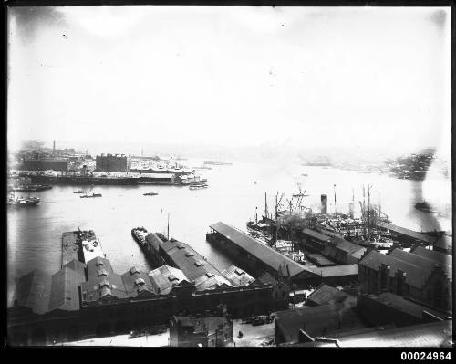 View of Darling Harbour wharves with Jones Bay in the distance