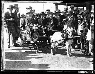 Crowd of people and a goat cart with a sign reading 'Fruiterer'