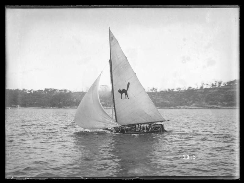 Sailing Vessel On Sydney Harbour, Insc 3315 – Works – Collections.sea 