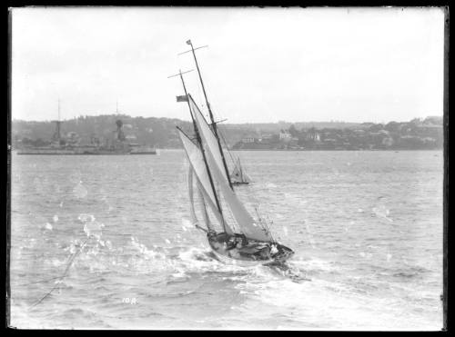 SLOOP on Sydney Harbour, INSC 10 A