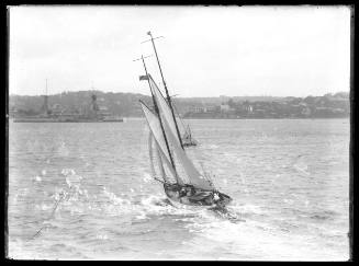 SLOOP on Sydney Harbour, INSC 10 A