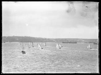 SLOOP on Sydney Harbour, INSC 20 A