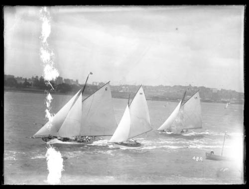 Sloops on Sydney Harbour, inscribed 48 A