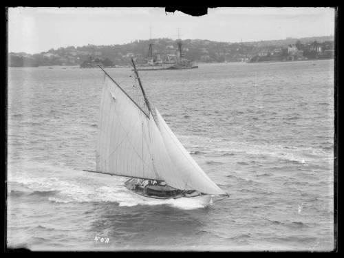 Sloop at shark Island, inscribed50 A