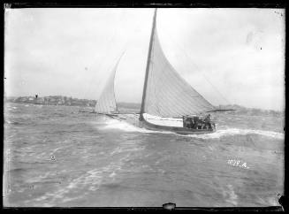 SLOOP on Sydney Harbour, INSC 1279 A