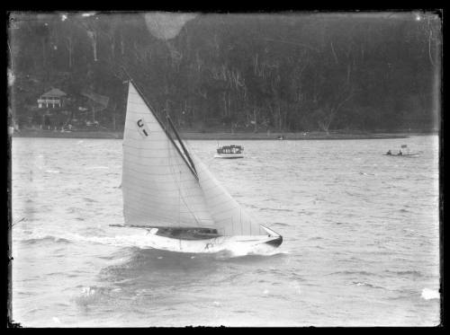 Sailing vessel on Sydney Harbour, INSC 59 +