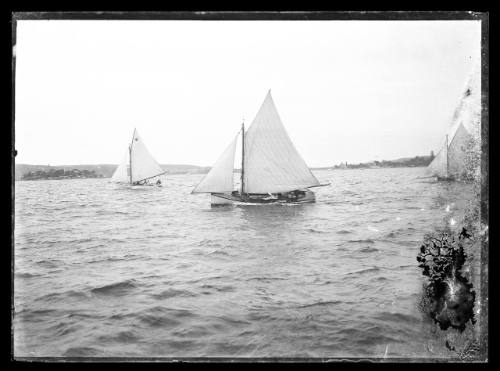 Sloop at Vaucluse