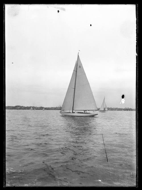 Sloop on Sydney Harbour has sail no. 5