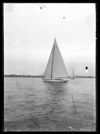 Sloop on Sydney Harbour has sail no. 5