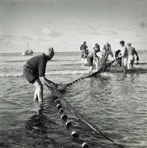 Hauling in a net