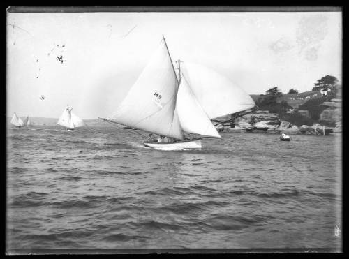 Sailing vessel on Sydney Harbour, INSC 555