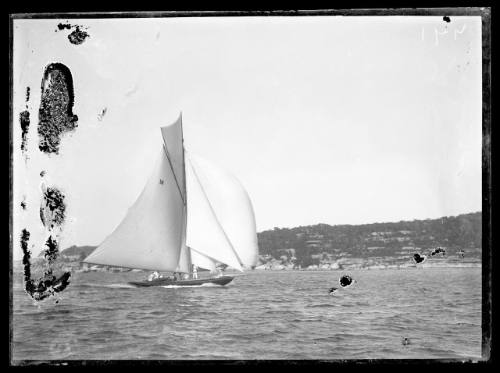 Sailing vessel on Sydney Harbour, INSC 771