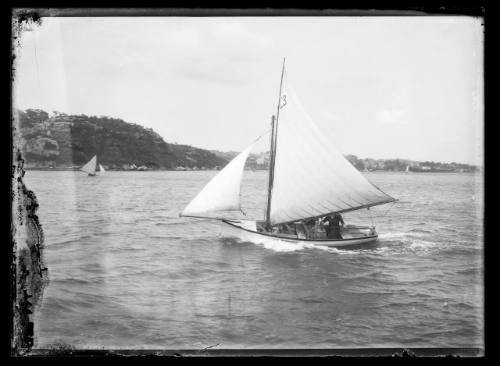 Sailing vessel on Sydney Harbour, INSC 813