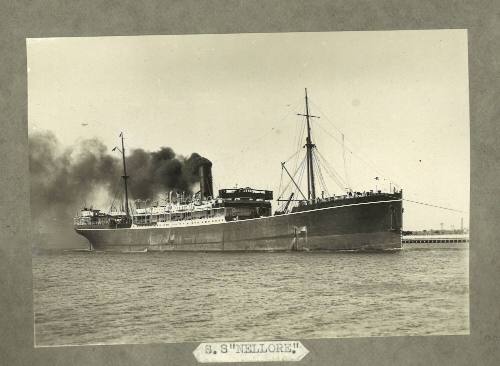 SS NELLORE