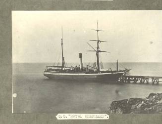 SS ROYAL SHEPHERD