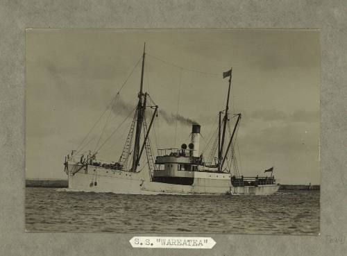 SS WAREATEA