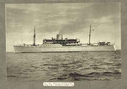 MV CALITEA