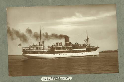 Cargo passenger ship SS WELLAMO