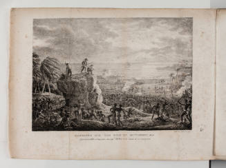 Voyage aux iles de la Mer du Sud, en 1827 et 1828, et la relation de la decouverte du sort de La Perouse, volume 1