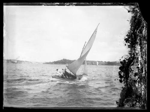 Sailing vessel on Sydney Harbour, INSC 815