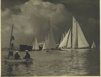 Start of a regatta on Sydney Harbour