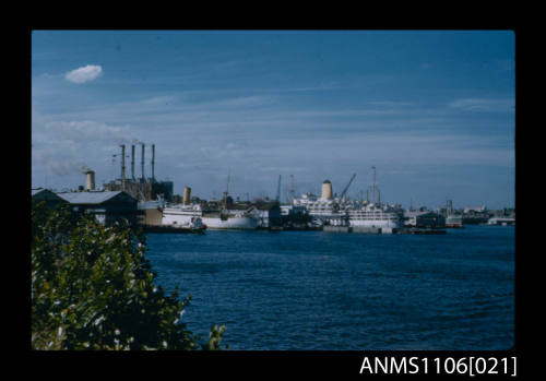 ARCADIA, DELFINO and ORION, passenger liners