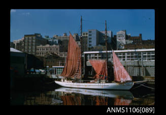 Colour photographic slide of DERWENT HUNTER