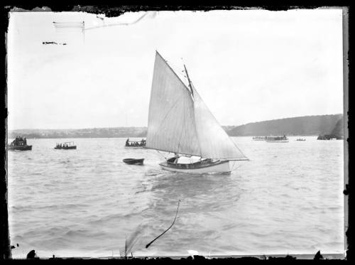 Sloops on Sydney Harbour, inscribed 428