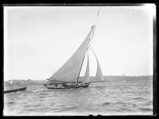 Sloop on Sydney Harbour, INSC 1313