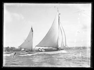 Sloop on Sydney Harbour, INSC 1323