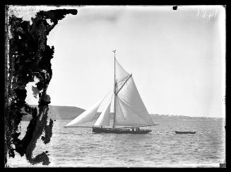 Sloop on Sydney Harbour, INSC 1481