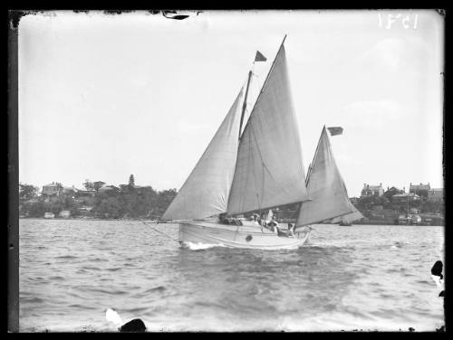 Sloop on Sydney Harbour, INSC 1591