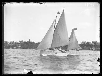 Sloop on Sydney Harbour, INSC 1591