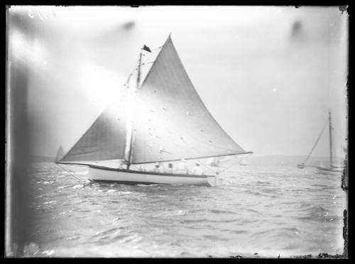 Sloop on Sydney Harbour, INSC 1613