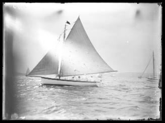 Sloop on Sydney Harbour, INSC 1613