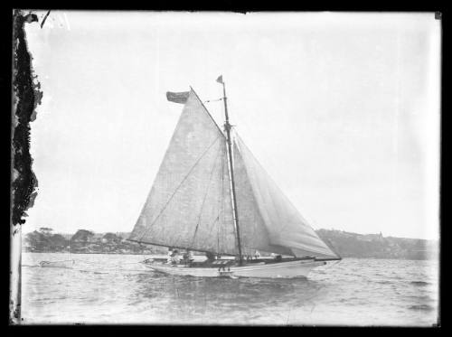 Sloop on Sydney Harbour, INSC 1621