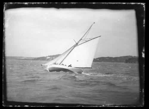 Sloops on Sydney Harbour