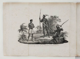Voyage aux iles de la Mer du Sud, en 1827 et 1828, et la relation de la decouverte du sort de La Perouse, volume 2