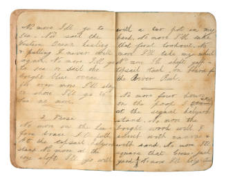Notebook belonging to Beatrice Kerr, containing handwritten verse, sketches and pressed fish fins