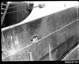 A cat sitting in the fairlead of the barque PAMIR