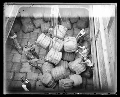 Wharfies positioning wool bales in the cargo hold of the MAGDALENE VINNEN