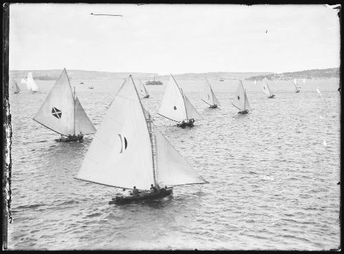 18-footers race towards Watsons Bay, Sydney Harbour