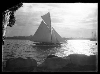 Sloop SAYONARA  no. 8 on Sydney Harbour