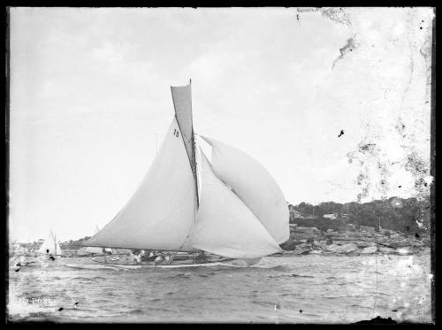 Yacht BONA from the RSYS sails on Sydney Harbour past Shark Point