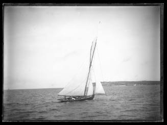 Sloop at South Head